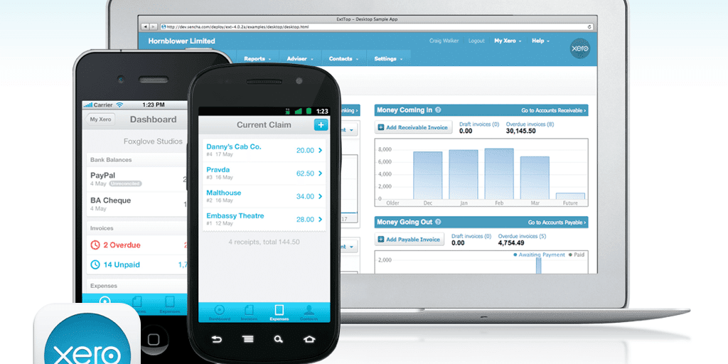 Xero accounting interface