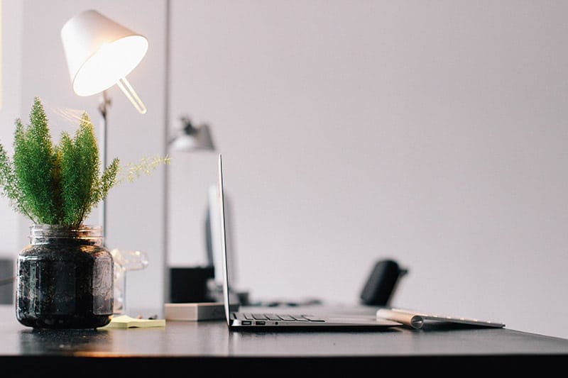 desk with laptop and plant